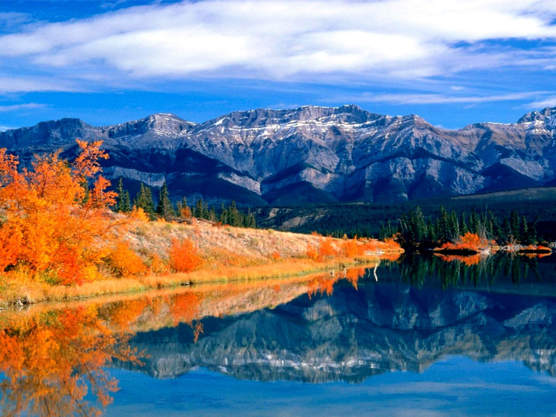 加拿大省提名雇主担保移民